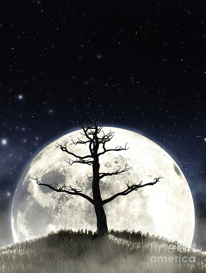 Dead Tree And Moon Silhouette Digital Art by Allan Swart | Fine Art America