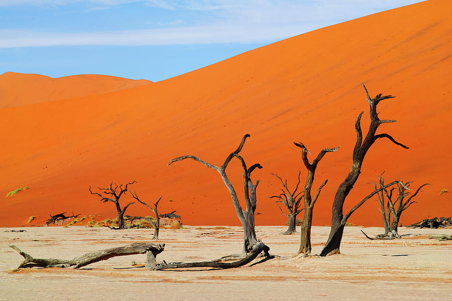 Dead Vlei Namib Desert #2 Photograph by Hiroya Minakuchi