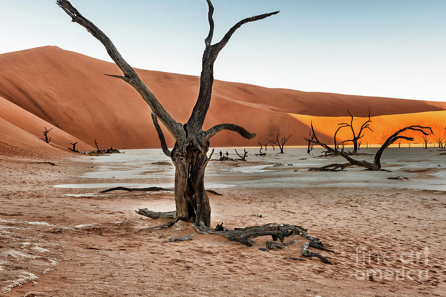 Dead Vlei Near Sesriem In Namibia Photograph