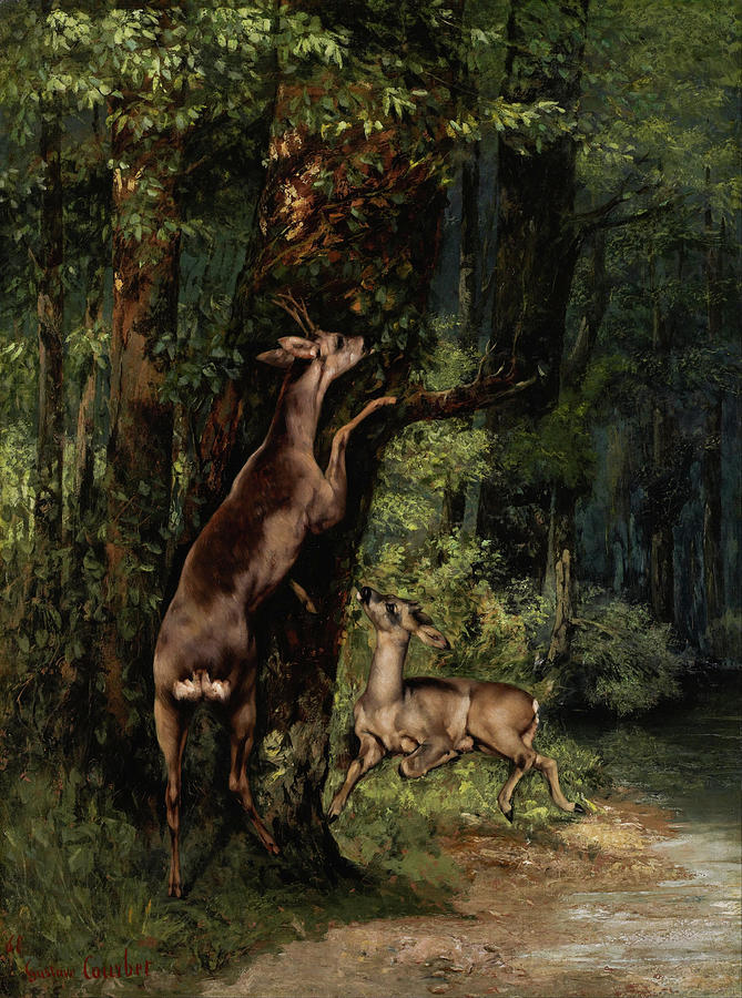 Gustave Courbet  Painting - Deer in the Forest #2 by Gustave Courbet