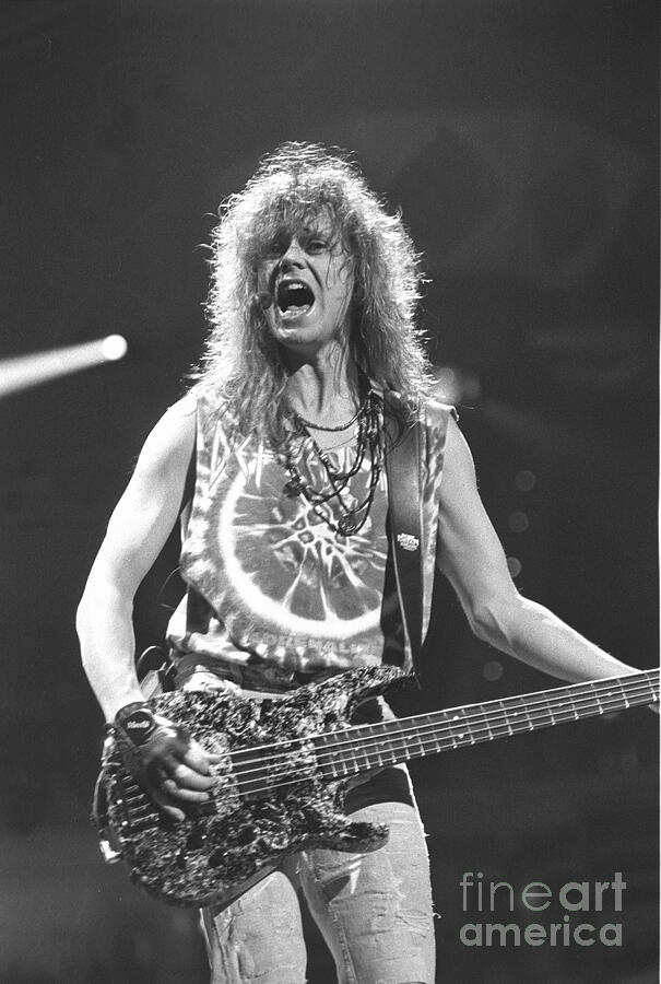 Def Leppard - Rick Savage Photograph by Concert Photos - Fine Art America