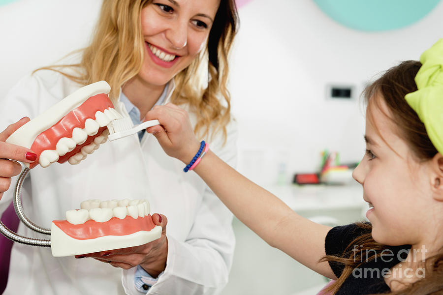 Dental Hygiene #2 Photograph by Microgen Images/science Photo Library