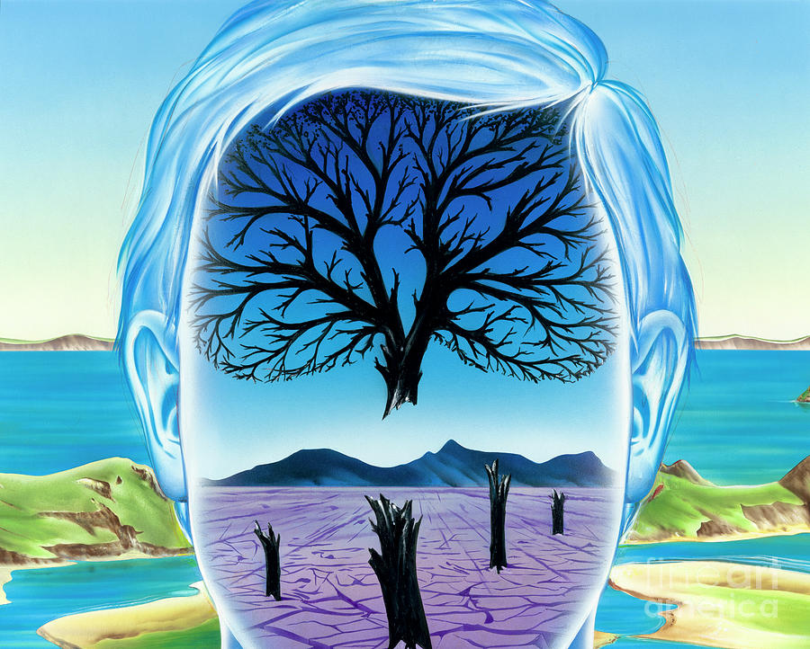 Depression #2 Photograph by Science Photo Library Depression #2 Photograph by Science Photo Library