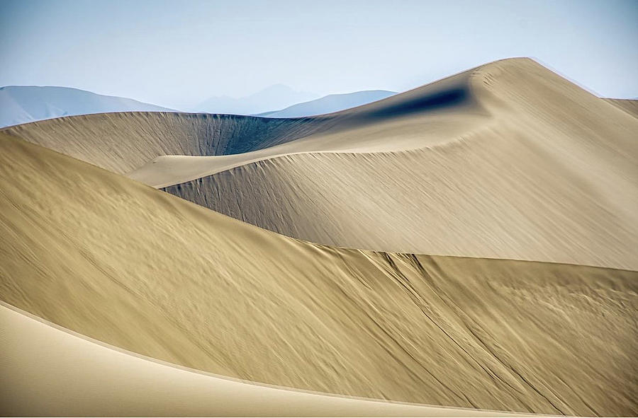 Desert #2 Photograph by Mahshad Razavi