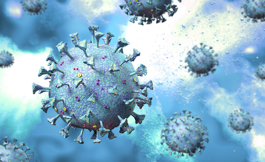 Detailed Structure Of The Coronavirus #2 Photograph by Leonello Calvetti