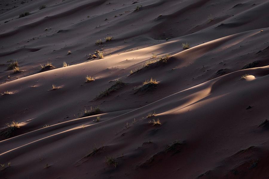 Abstract Photograph - Details Of A Sand Dune In Namibia #2 by Ben McRae