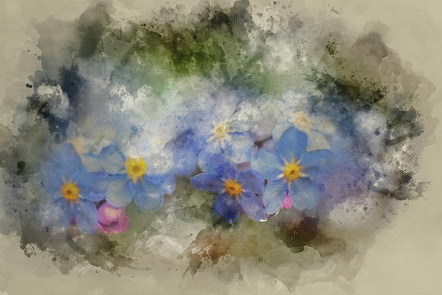 Digital Watercolor Painting Of Vibrant Forget Me Not Spring Flow Photograph By Matthew Gibson