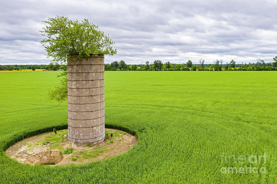 Disused Farm Silo #2 by Jim West/science Photo Library