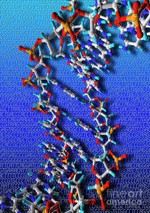 Dna Artwork #2 Photograph by Alfred Pasieka/science Photo Library