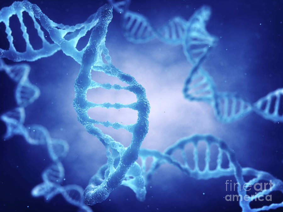 Dna Molecule #2 Photograph by Nobeastsofierce/science Photo Library