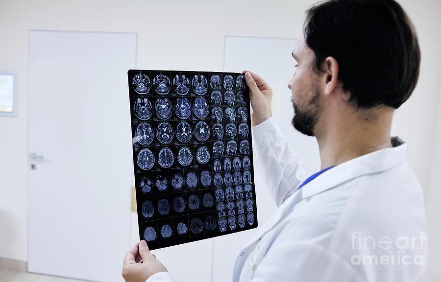 Doctor Checking Brain Scans #2 Photograph by Peakstock / Science Photo Library
