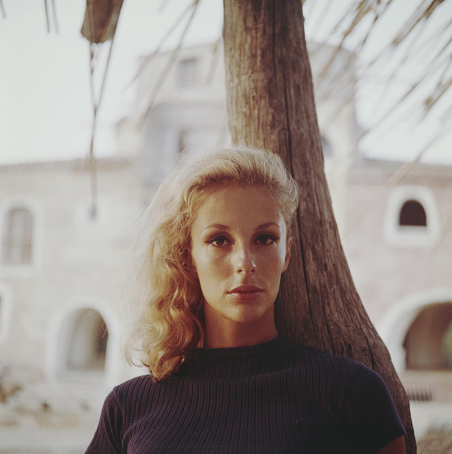 Dolores Guinness Photograph by Slim Aarons Dolores Guinness Photograph by Slim Aarons
