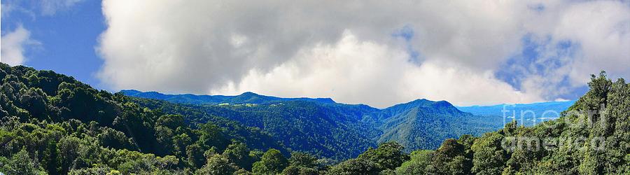 Dorrigo Photograph - Dorrigo National Park by Graham Buffinton Dorrigo Photograph - Dorrigo National Park by Graham Buffinton