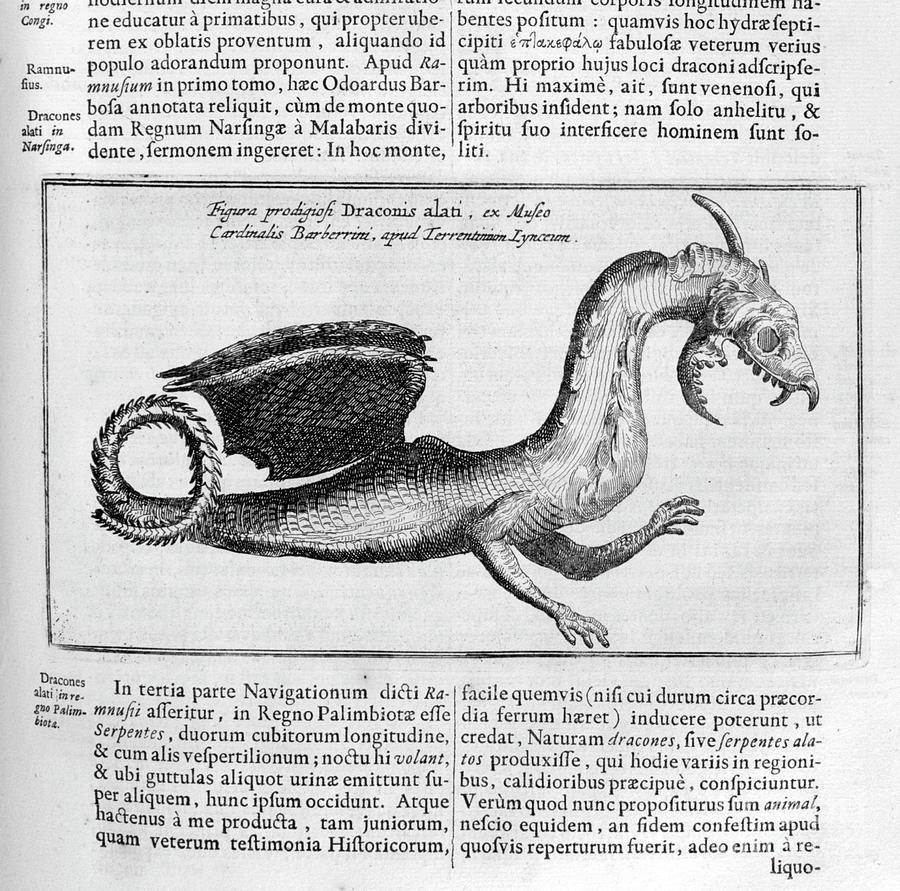 Dragon, 1678. Artist Athanasius Kircher #2 Drawing by Print Collector