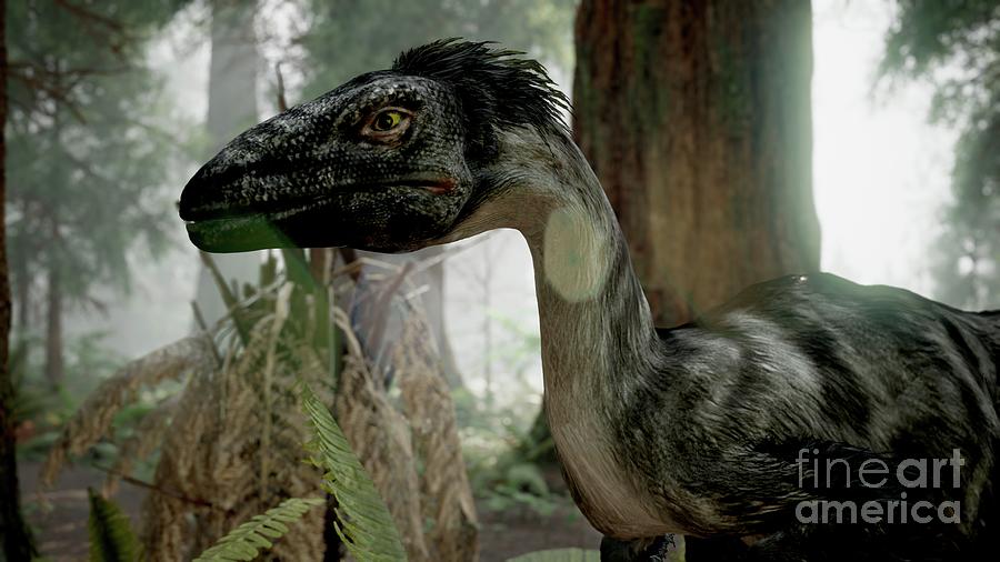 Dromaeosaurus Dinosaur #2 Photograph by Richard Jones/science Photo Library