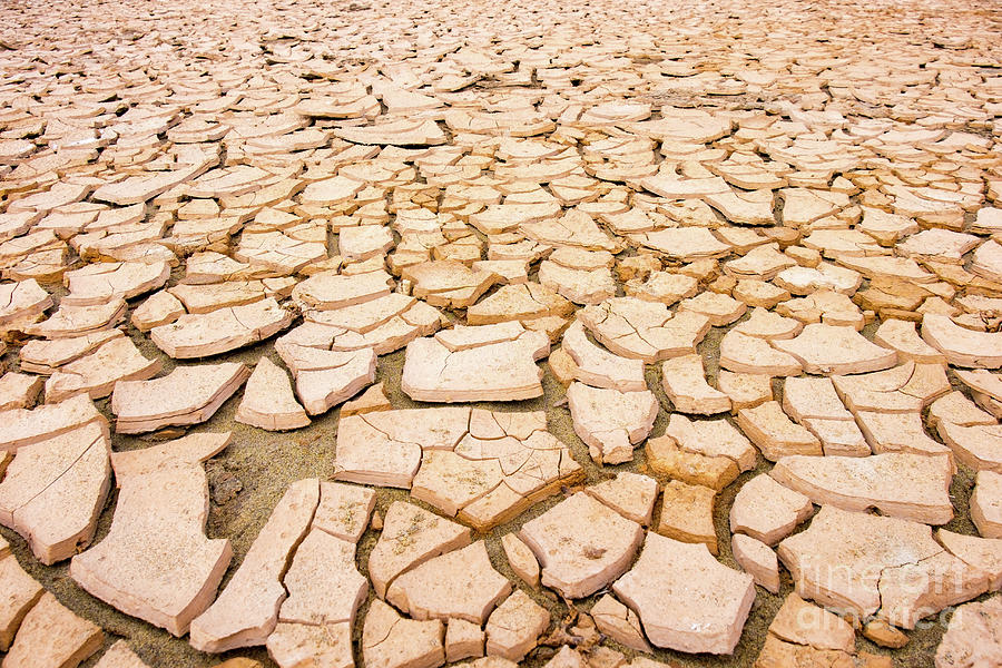 Dry Soil #2 Photograph by Wladimir Bulgar/science Photo Library