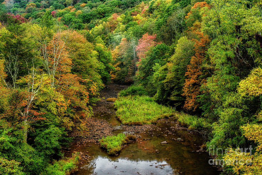 Early Autumn along Williams River #2 Photograph by Thomas R Fletcher