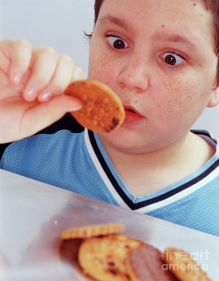 Eating Biscuits Photograph by Gustoimages/science Photo Library