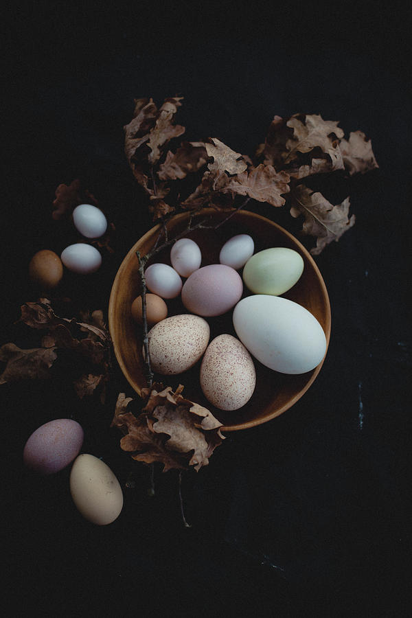 Eggs Of Various Sizes And Colours And Dried Oak Twigs #2 Photograph by Giedre Barauskiene