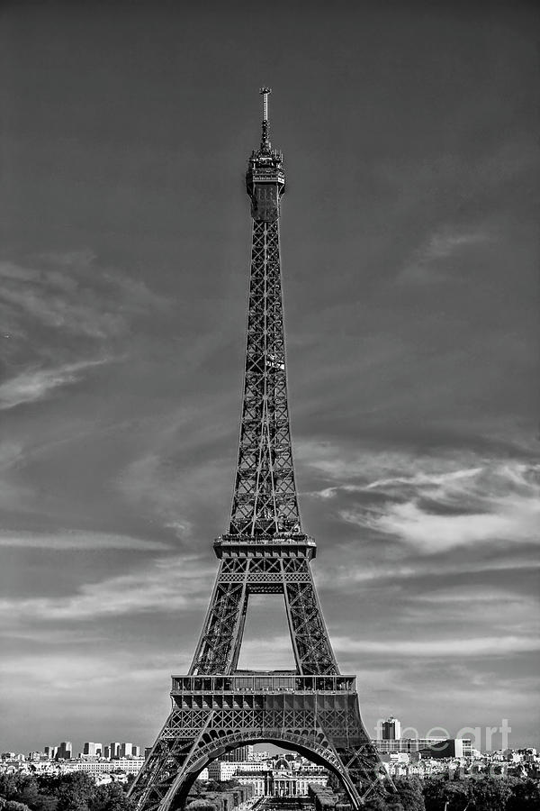 Eiffel tower in France Photograph by Patricia Hofmeester