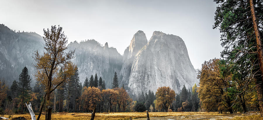 El Captain Rock in Yosemite National Park,California #2 Photograph by Alex Grichenko