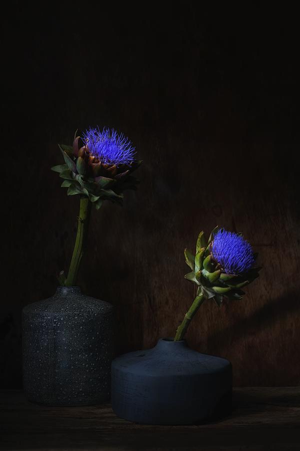Flower Photograph - Electric Blue. by Saskia Dingemans