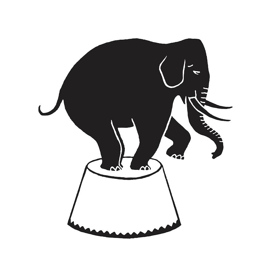 Black And White Drawing - Elephant Doing Trick #2 by CSA Images