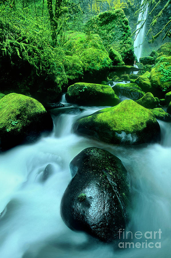 Elowah Falls Columbia River Gorge National Scenic Area Oregon #2 Photograph by Dave Welling
