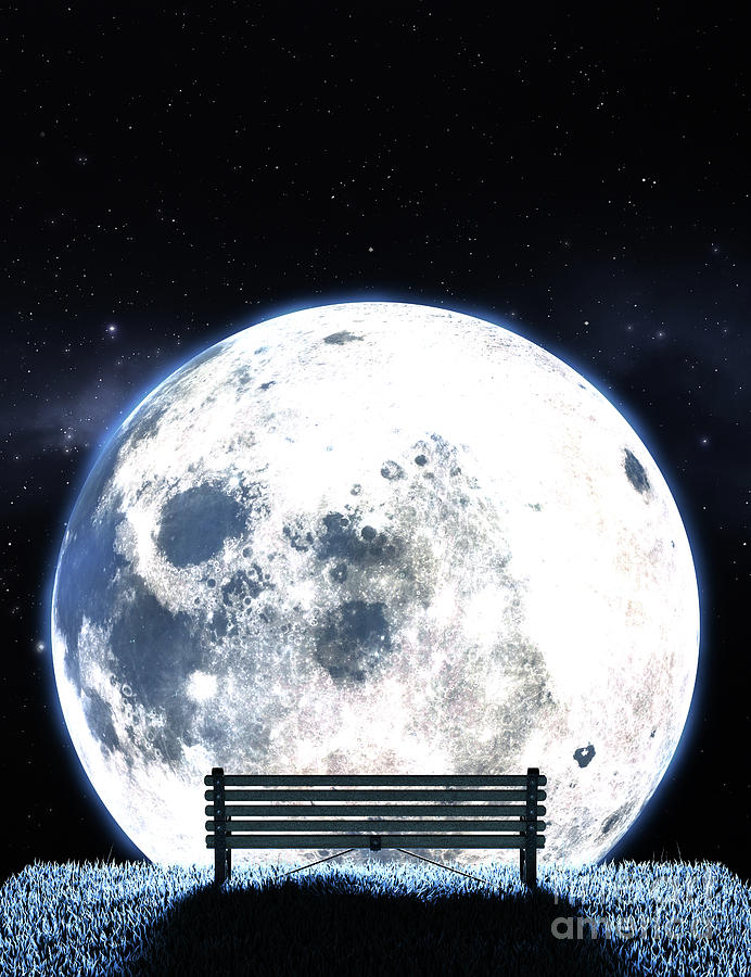 Empty Bench And Moon Silhouette Digital Art