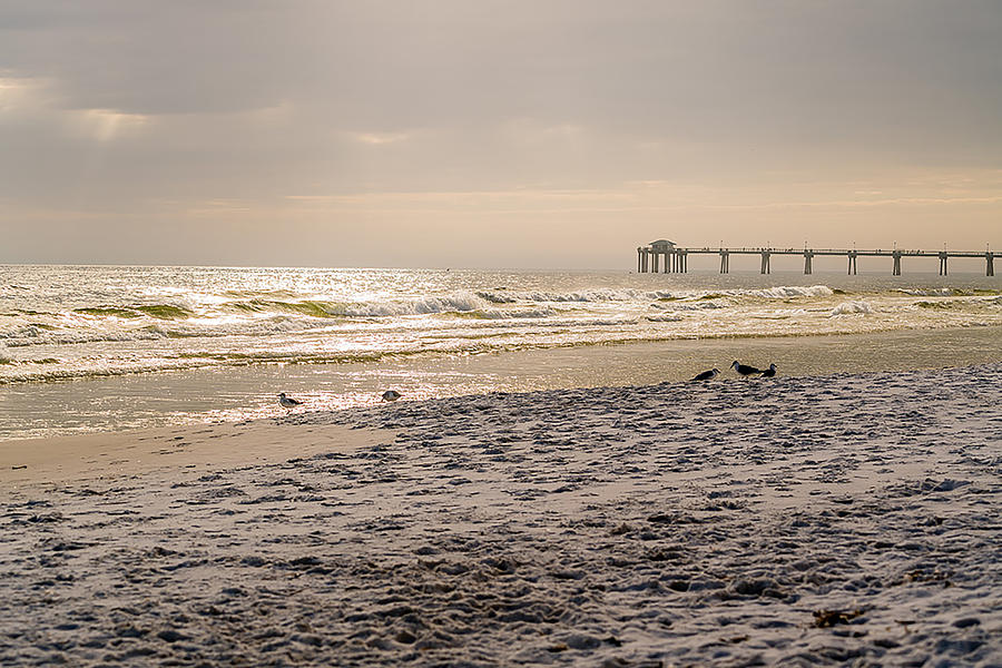 Beach Photograph - Enjoyed The Day by Ric Schafer Beach Photograph - Enjoyed The Day by Ric Schafer