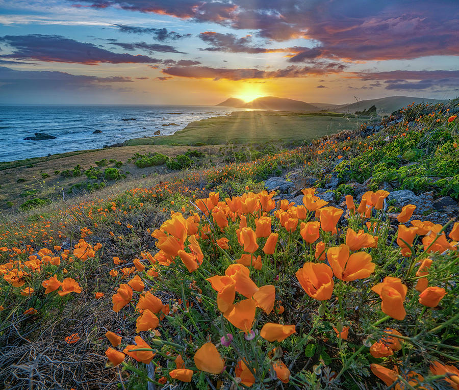 Inspirational Photograph - Estero Bluffs Sunset #2 by Tim Fitzharris