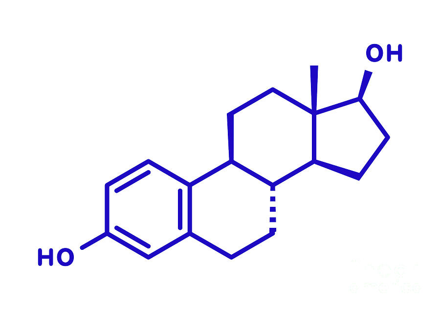 Estradiol Female Sex Hormone Molecule Photograph By Molekuulscience 4769