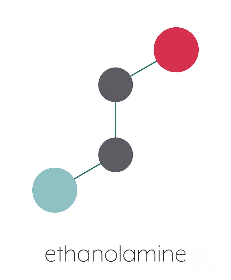 Ethanolamine Molecule Photograph by Molekuul/science Photo Library ...