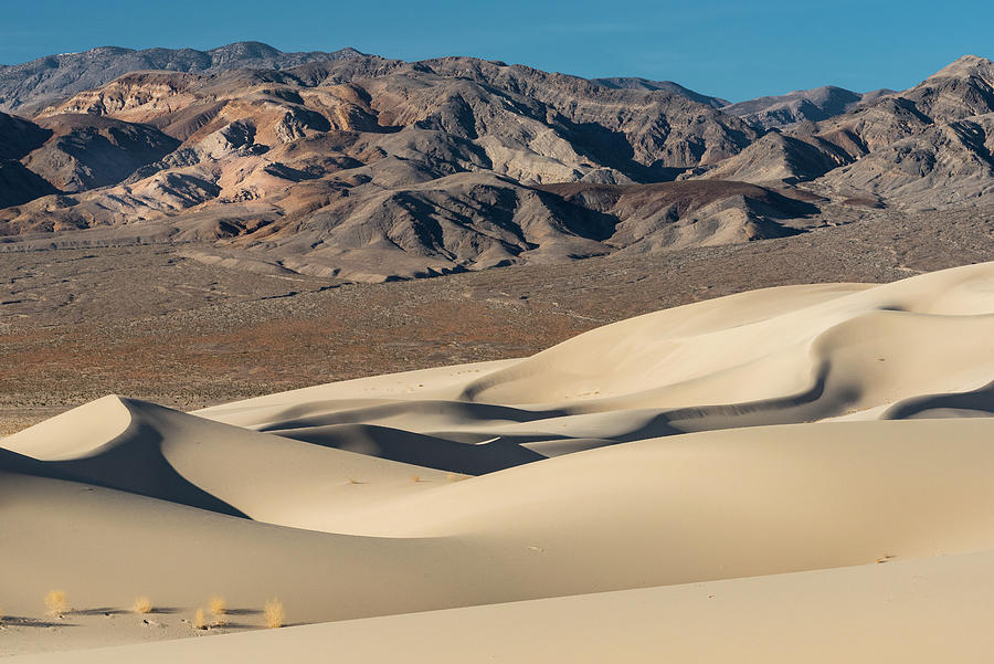 Euraka Dunes In Death Valley #2 Photograph by Jeff Foott