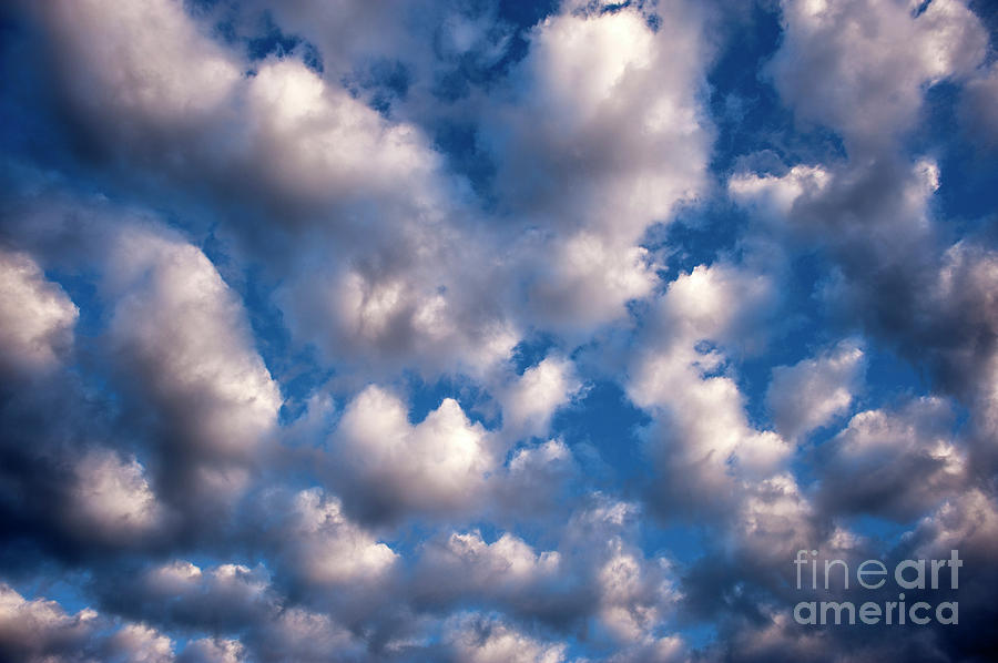 Fair Weather Cumulus Clouds Photograph by Jim Corwin