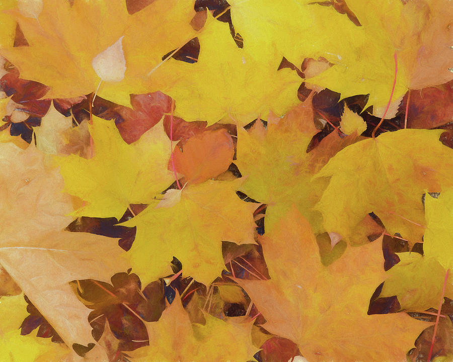 Fallen Leaves 2 Digital Art by Roy Pedersen