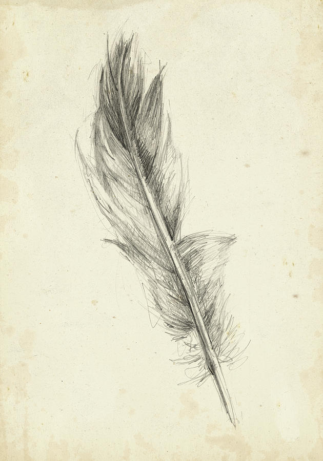 Furniture Painting - Feather Sketch Iv #2 by Ethan Harper