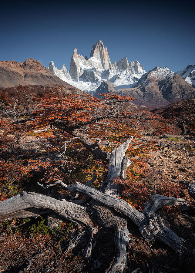 Mountain Photograph - Fitz Roy #2 by Willa Wei