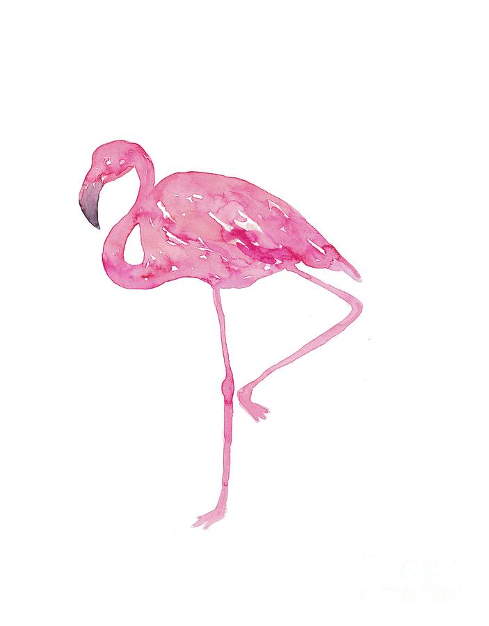 Download Flamingo No 2 Watercolour Art Collectibles Prints Colonialgolfhart Com