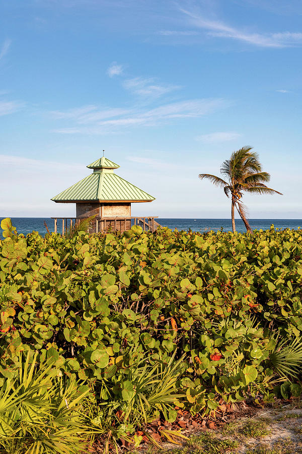 Florida, Boca Raton, Lifeguard Tower & Palm Tree On The Beach #2 Digital Art by Laura Diez