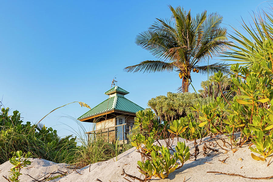Florida, Boca Raton, Lifeguard Tower With Palm Tree At The Beach #2 Digital Art by Laura Diez