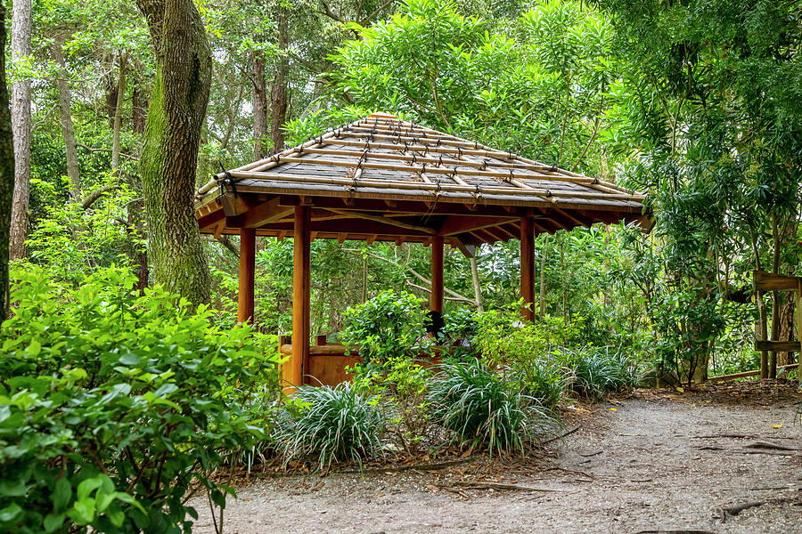 Florida, South Florida, Delray Beach, Morikami Japanese Gardens #2 Digital Art by Lumiere
