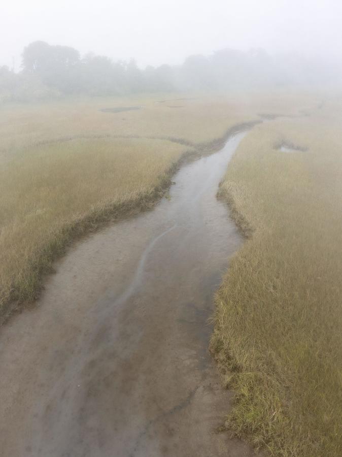 Nature Photograph - Fog Drifts Over An Extensive Salt Marsh #2 by Ethan Daniels