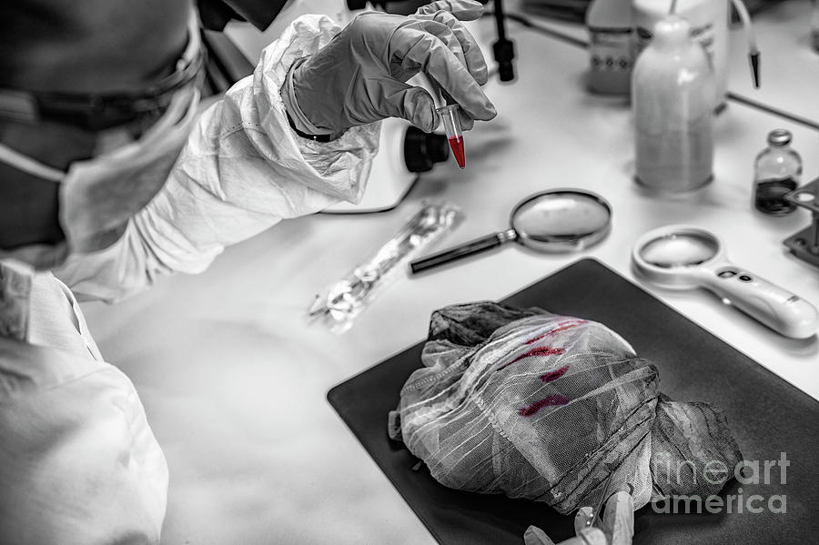 Forensic Expert Examining Crime Scene Evidence Photograph by Microgen