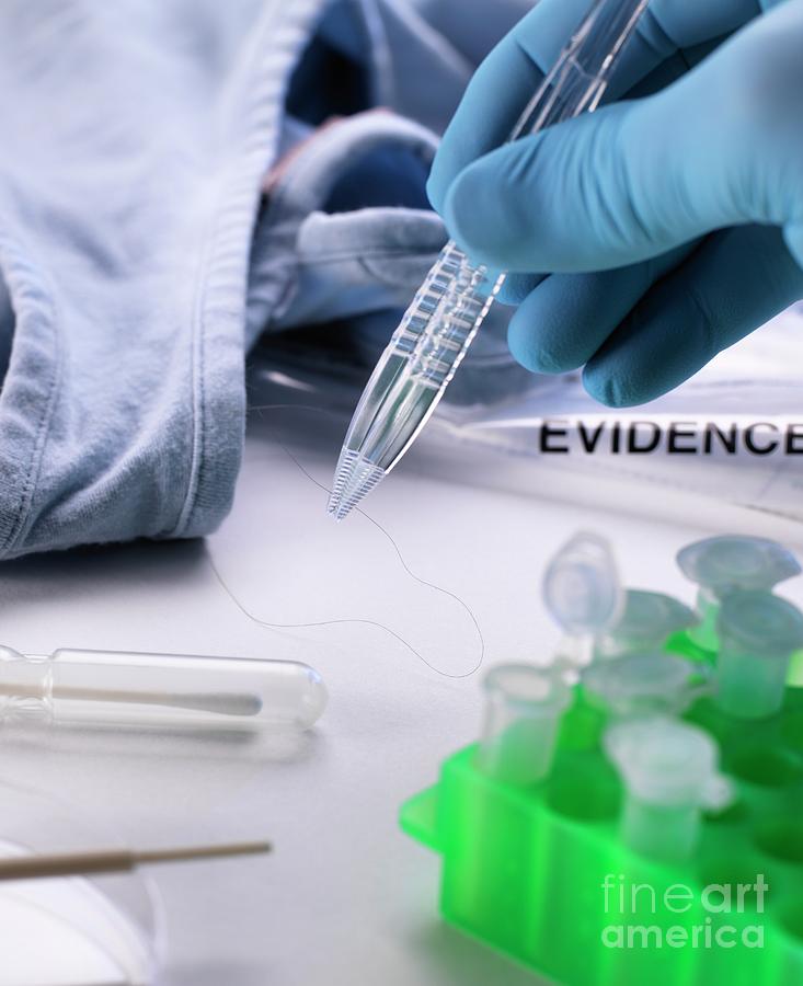 Forensic Investigation #2 Photograph by Tek Image/science Photo Library
