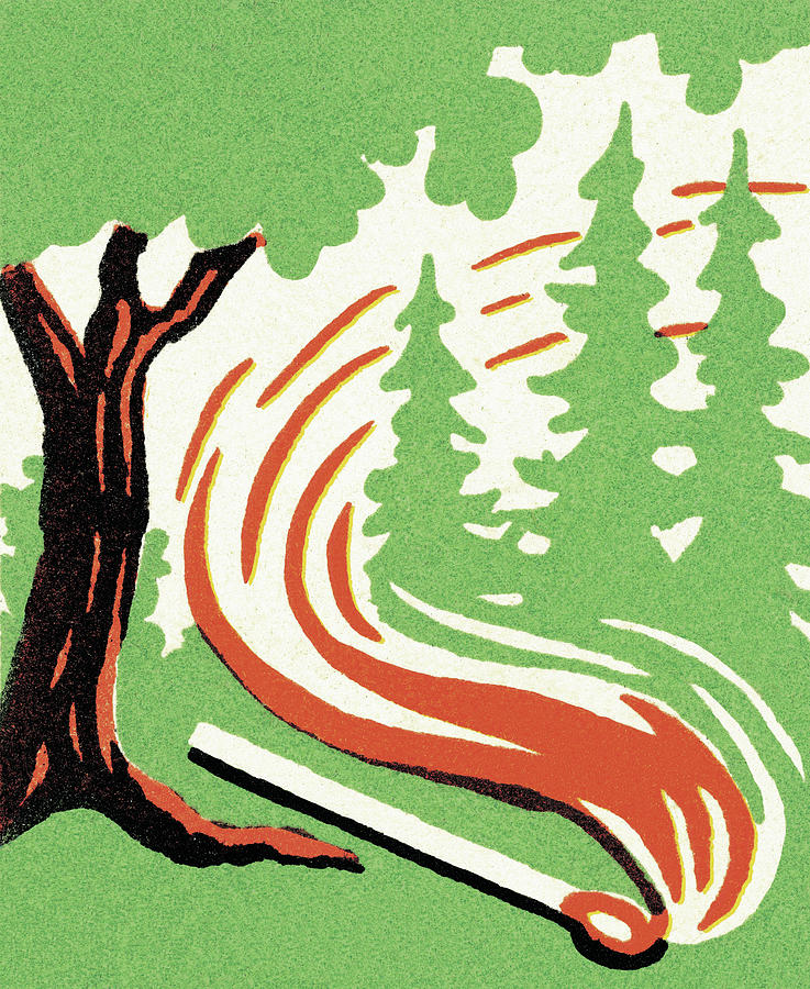 Nature Drawing - Forest Fire #2 by CSA Images