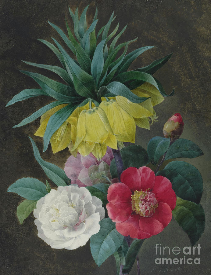 Four Peonies and a Crown Imperial  Painting by Pierre-Joseph Redoute