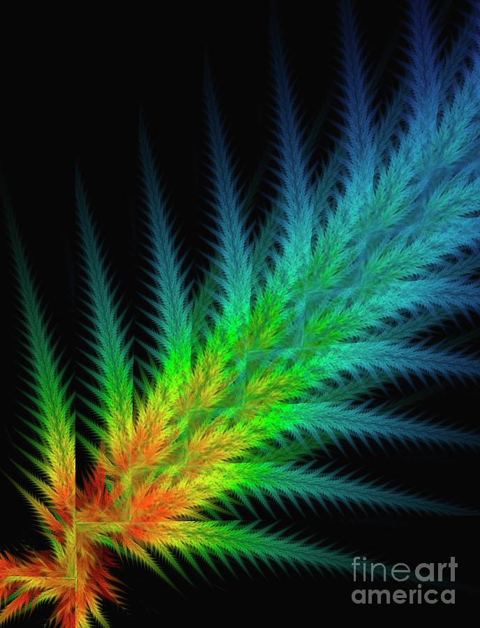 Abstract Photograph - Fractal Growth Abstract Illustration. #2 by David Parker/science Photo Library