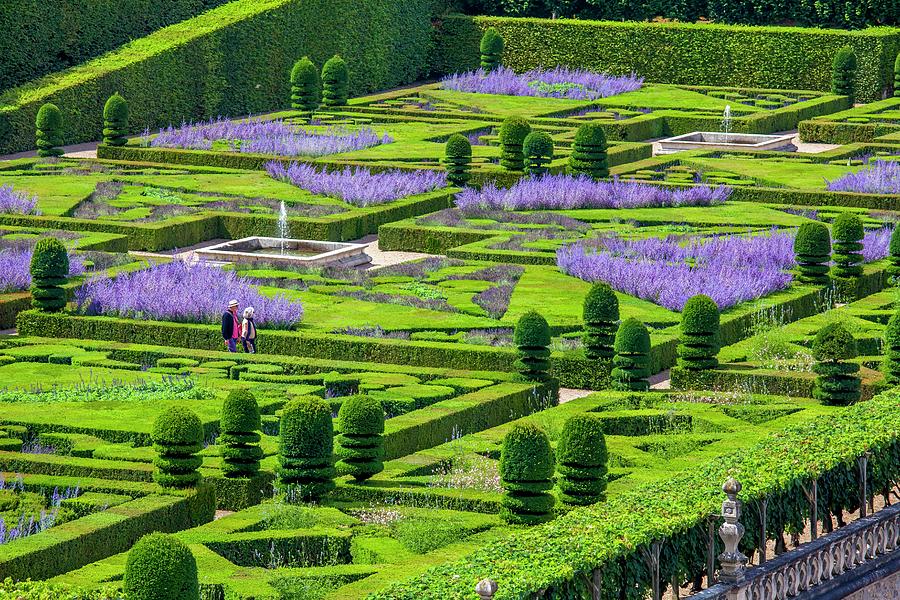 France, Centre, Loire Valley, Indre-et-loire, Villandry, Gardens Of The Castle #2 Digital Art by Olimpio Fantuz