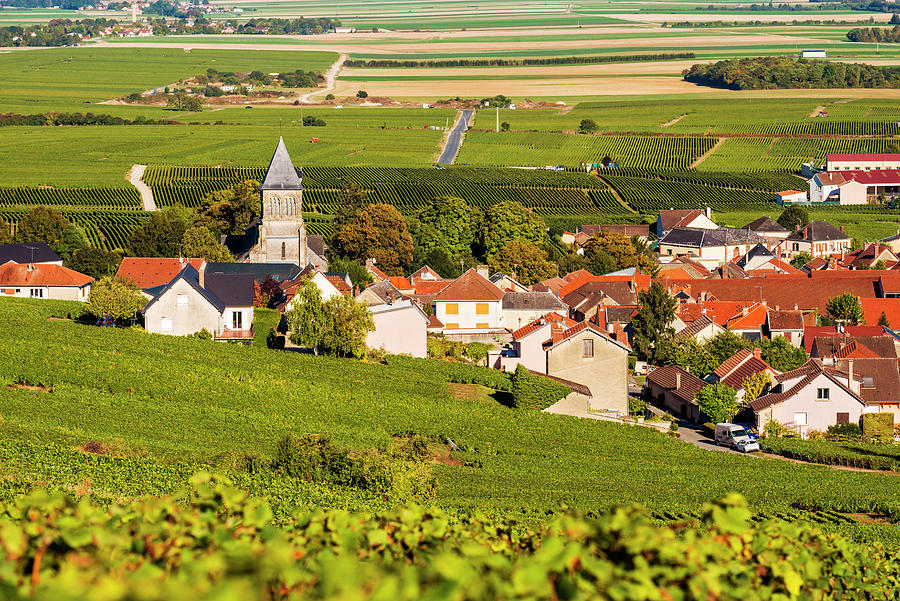 France, Grand Est, Le Mesnil-sur-oger, Vineyards Surrounding The Town #2 Digital Art by Jordan Banks